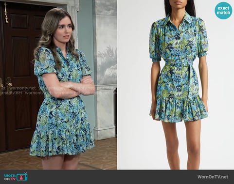 Emma's Cinq a Sept dress Emma's Cinq a Sept dress