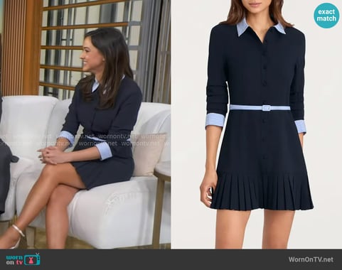 Hanna's Cinq a Sept dress