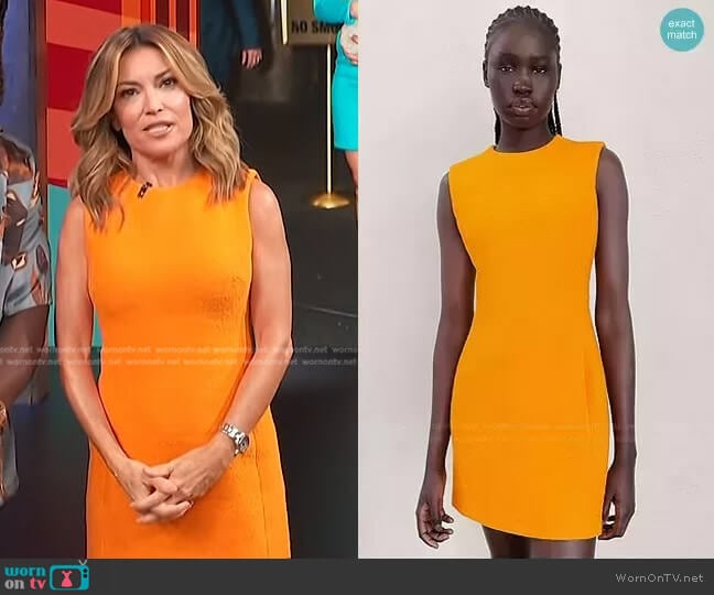 Kit's Zara dress