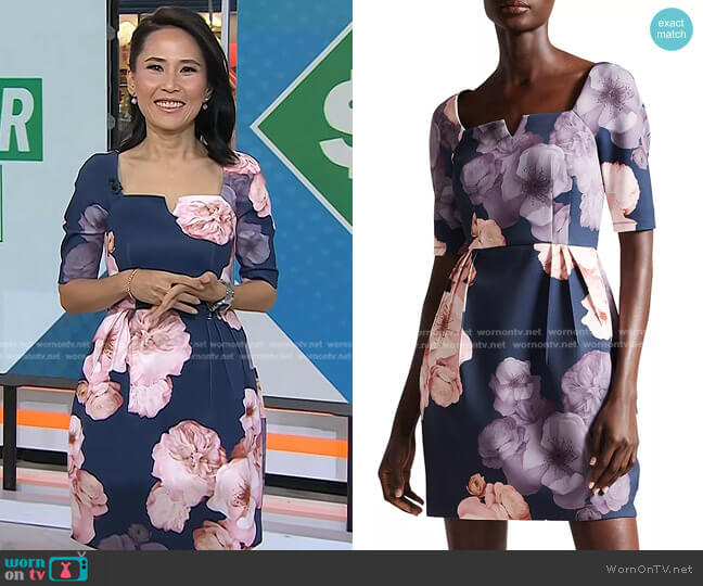 Vicky's Ted Baker dress