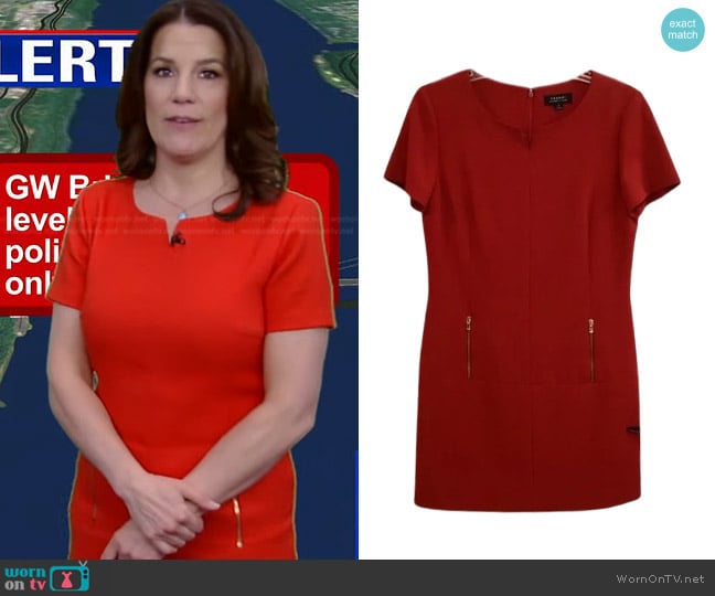 Heather's Tahari ASL dress Heather's Tahari ASL dress