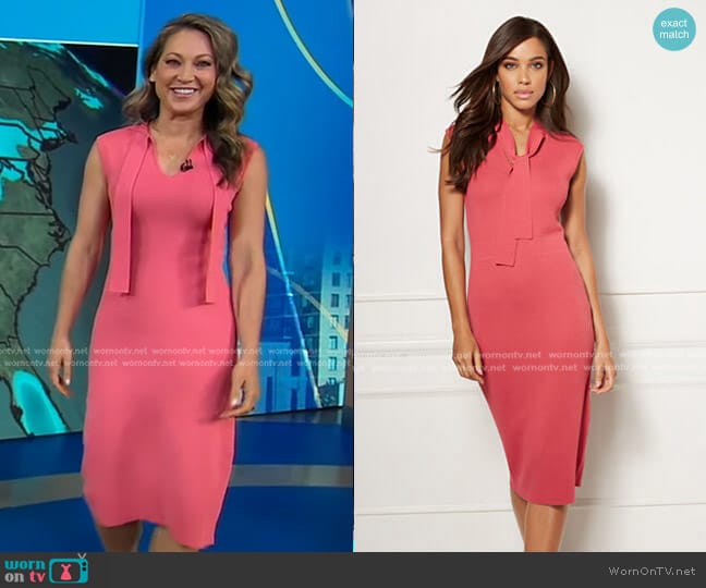 New York & Company Bella Tie Neck Sweater Dress - Eva Mendes Collection worn by Ginger Zee on Good Morning America