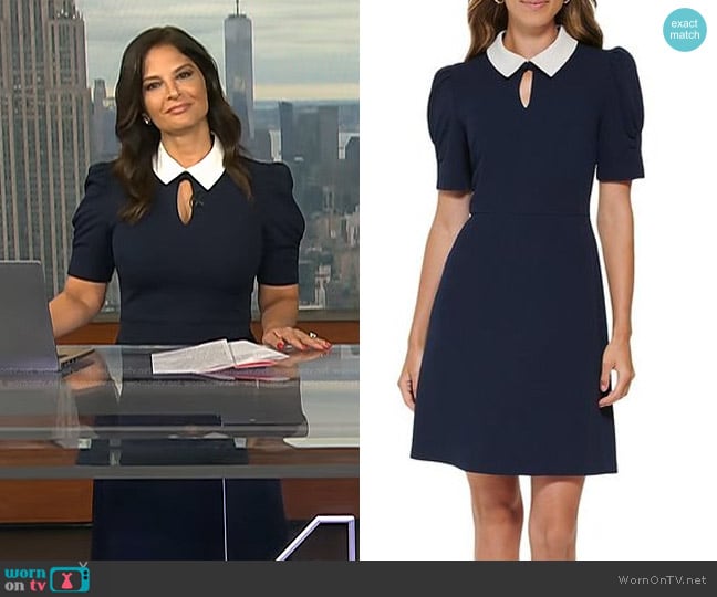Darlene's DKNY dress