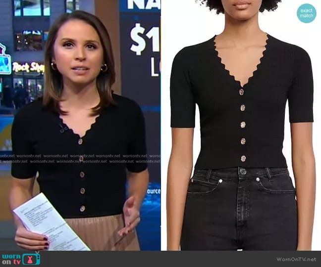 Elizabeth's Sandro sweater