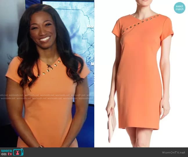 Brittany Bell's Ellen Tracy dress Brittany Bell's Ellen Tracy dress