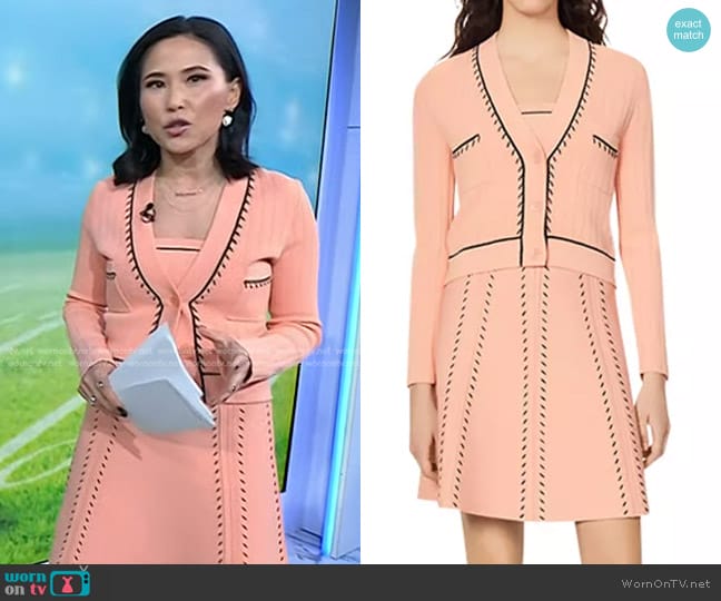 Vicky's Sandro sweater