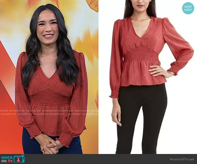 Emilie's Bcbgmaxazria top