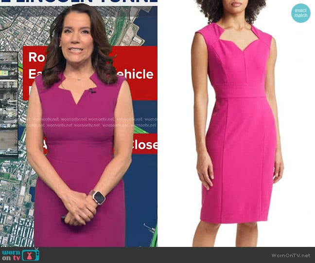 Heather's Tahari ASL dress Heather's Tahari ASL dress
