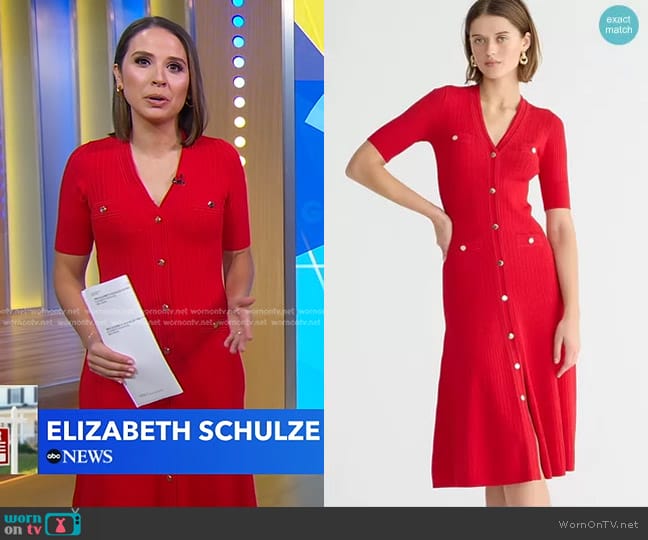 Elizabeth's J. Crew dress Elizabeth's J. Crew dress