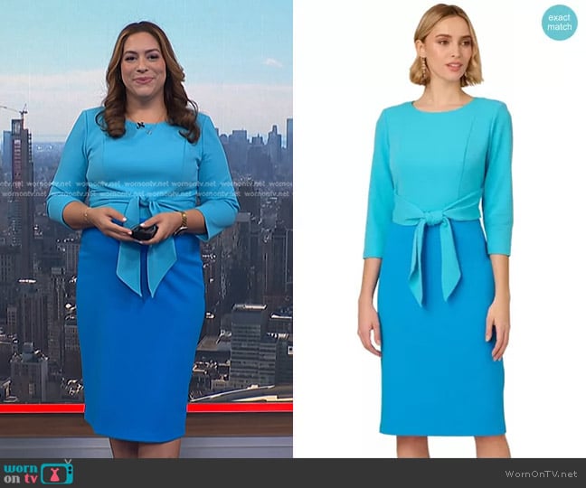 Violeta Yas's Adrianna Papell dress Violeta Yas's Adrianna Papell dress