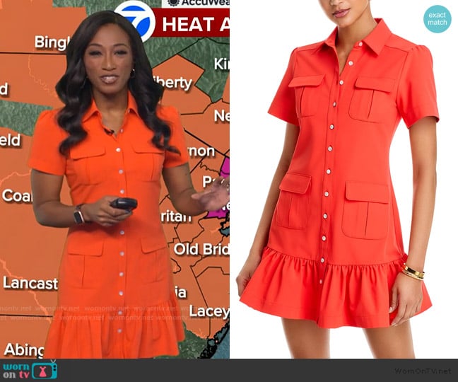 Brittany's Cinq a Sept dress Brittany's Cinq a Sept dress