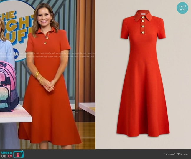 Rebecca's Scanlan Theodore dress Rebecca's Scanlan Theodore dress