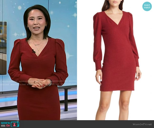 Vicky's Steve Madden dress