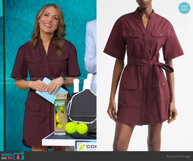 Lori's A.L.C. dress
