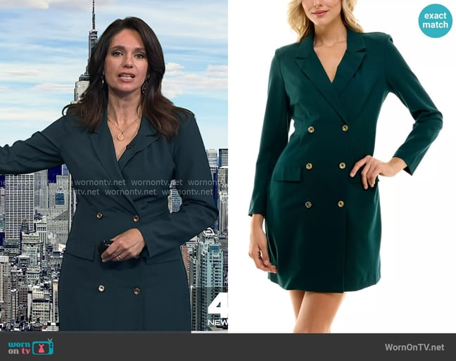 Maria's Sharagano dress