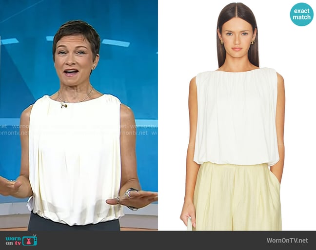 Stephanie's Vince top Stephanie's Vince top