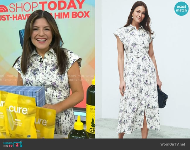 Adrianna's Adam Lippes dress Adrianna's Adam Lippes dress