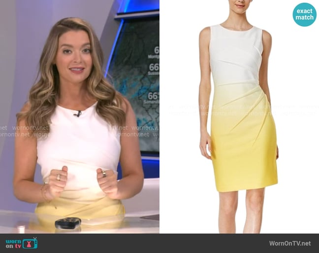 Dani's Calvin Klein dress