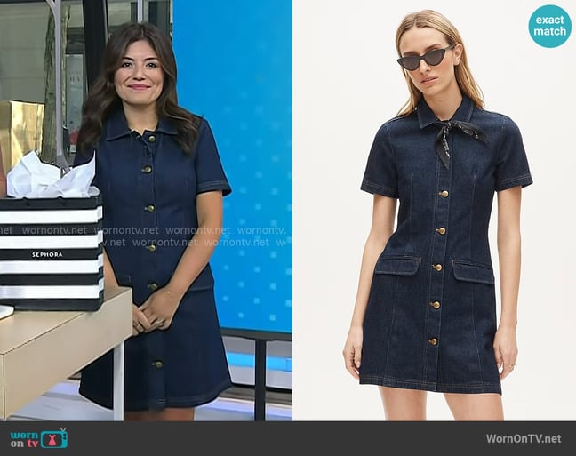 Adrianna's J. Crew dress