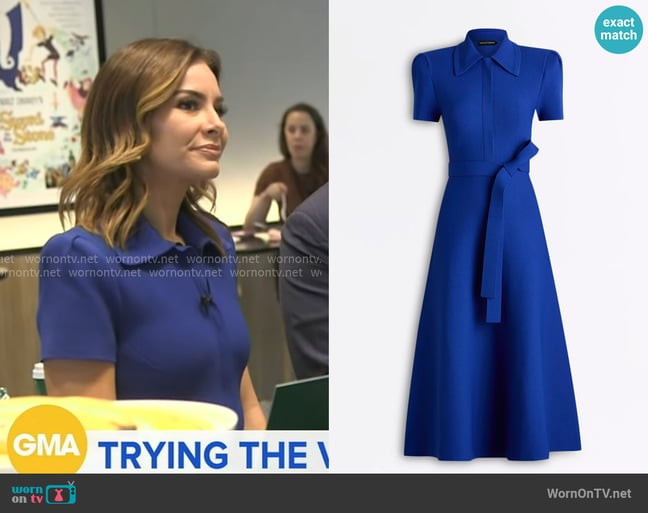 Rebecca's Scanlan Theodore dress