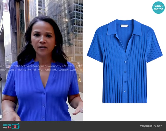 Laura's Scanlan Theodore top Laura's Scanlan Theodore top