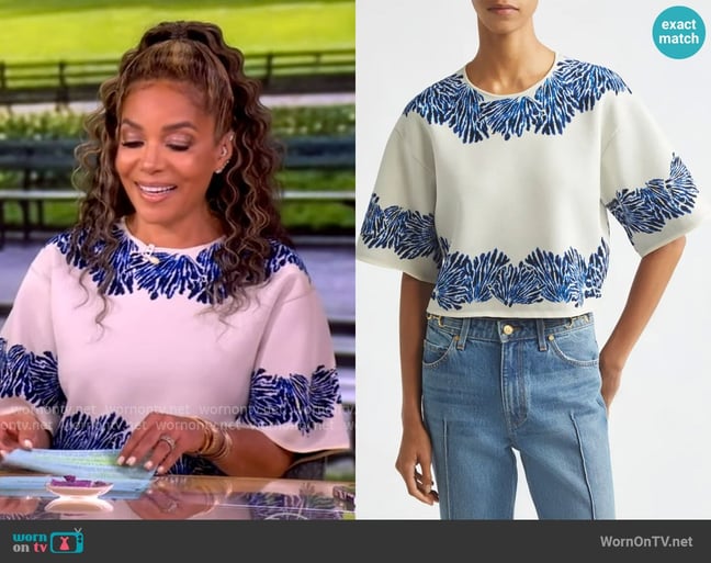 Sunny's Ulla Johnson top Sunny's Ulla Johnson top