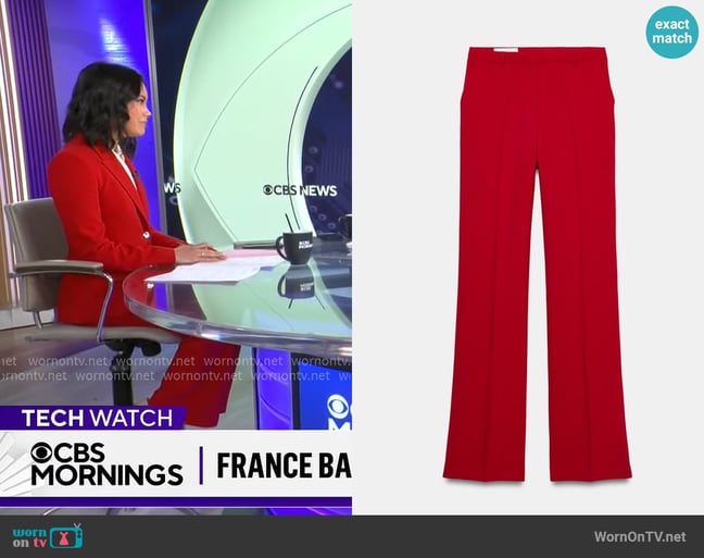 Jo Ling Kent's Zara pants
