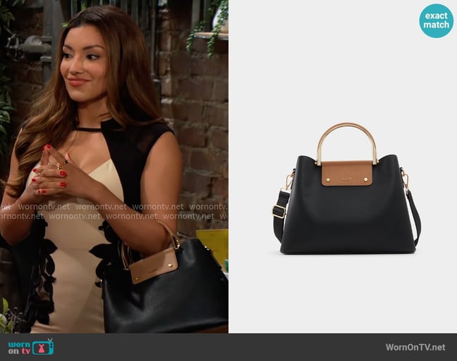 Audra's Aldo bag Audra's Aldo bag