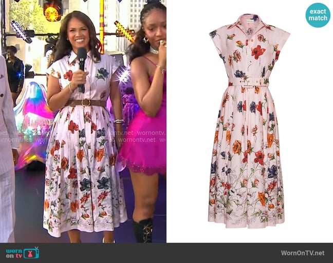Laura's Cara Cara dress