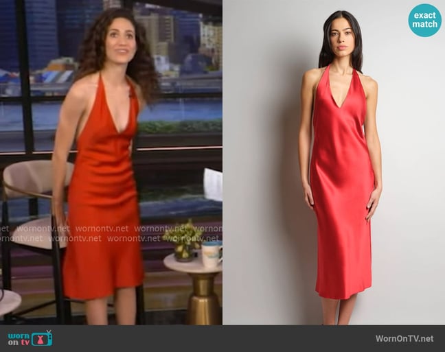 Emmy Rossum's Julie de Libra dress