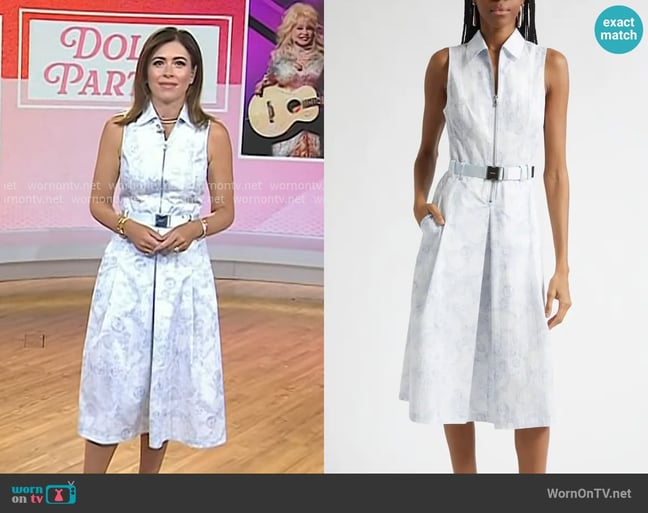 Chloe's L'Agence dress
