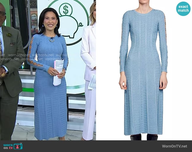 Vicky's Sandro dress
