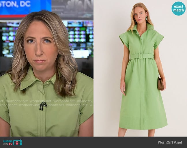 Julia Ainsley's Tuckernuck dress