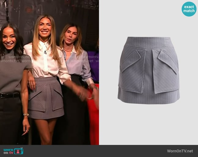Erin Lichy's Aknvas skirt Erin Lichy's Aknvas skirt