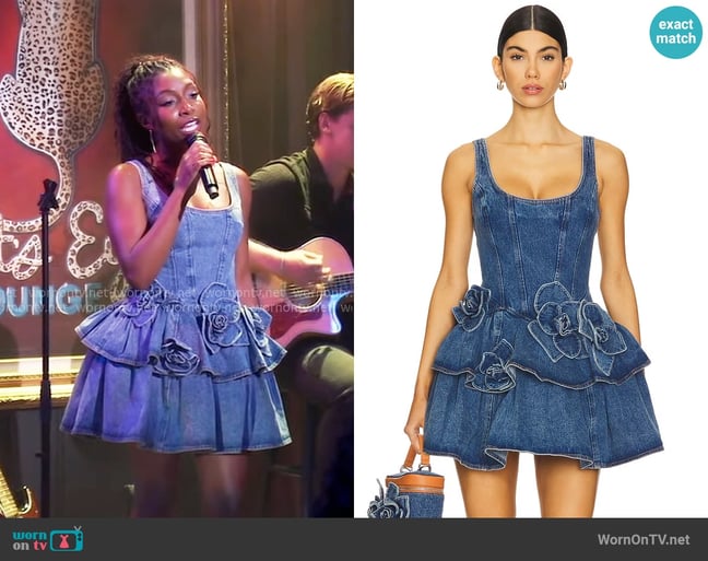 Trina's Aknvas dress
