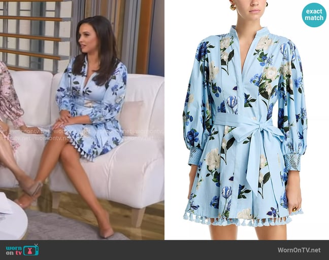 Hanna's Alice + Olivia dress Hanna's Alice + Olivia dress