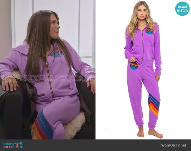 Jessi's Aviator Nation sweater Jessi's Aviator Nation sweater