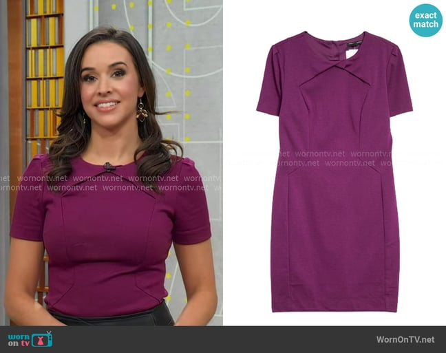 Banana Republic Fitted Sheath Dress worn by Hanna Battah on Good Morning America Banana Republic Fitted Sheath Dress worn by Hanna Battah on Good Morning America