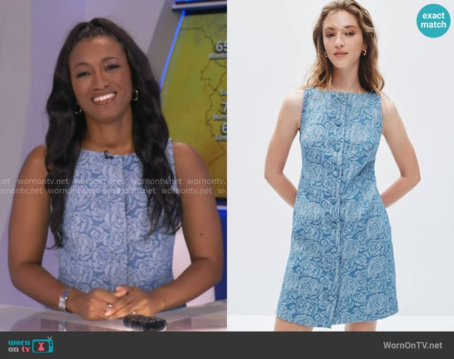 Brittany's Cece dress Brittany's Cece dress