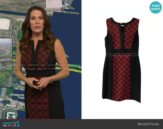Heather O'Rourke's Chelsea Rose dress