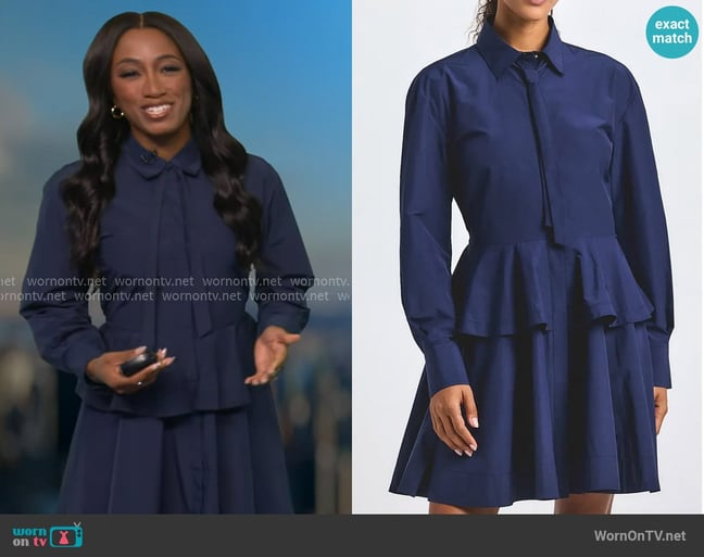 Brittany's Derek Lam 10 Crosby dress Brittany's Derek Lam 10 Crosby dress