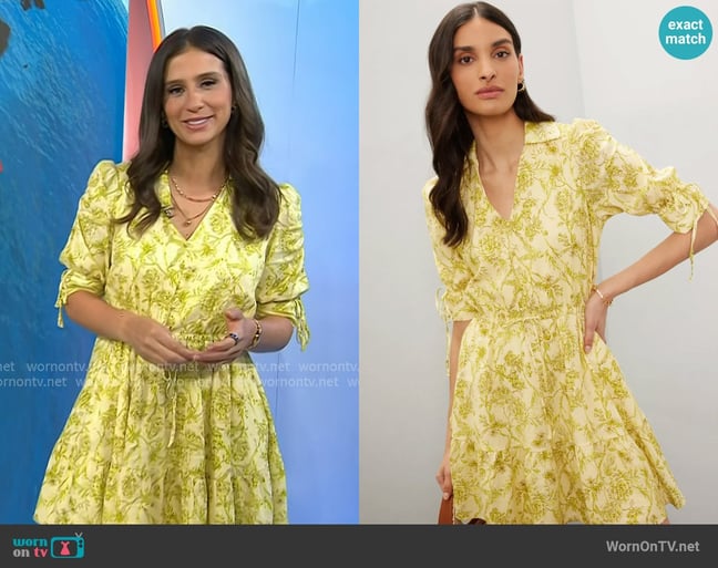 Angie Lassman's Hutch dress