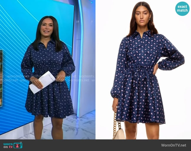 Kate Spade Paisley Millie Dress worn by Emilie Ikeda on Today