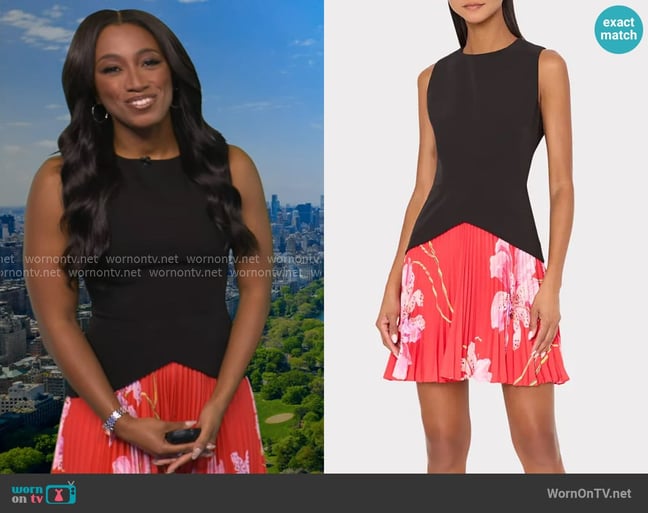 Brittany's Milly dress Brittany's Milly dress