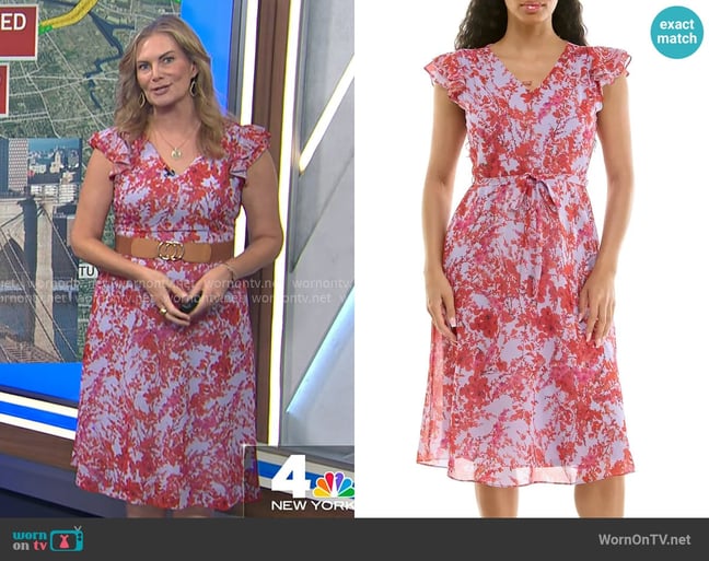 Emily's Nina Leonard dress