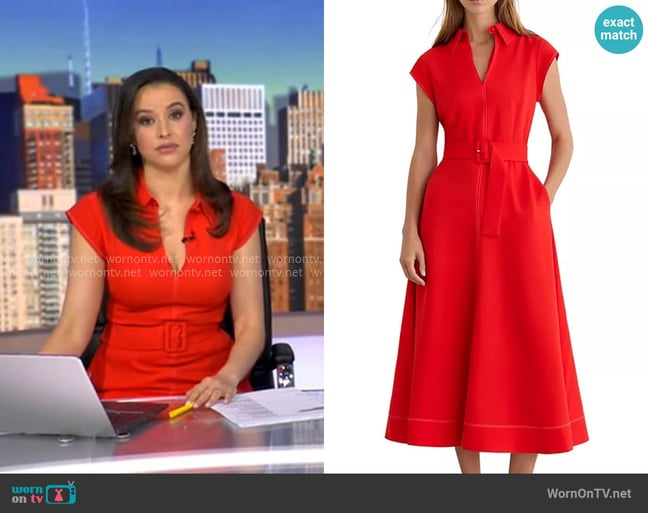 Hanna's Reiss dress Hanna's Reiss dress