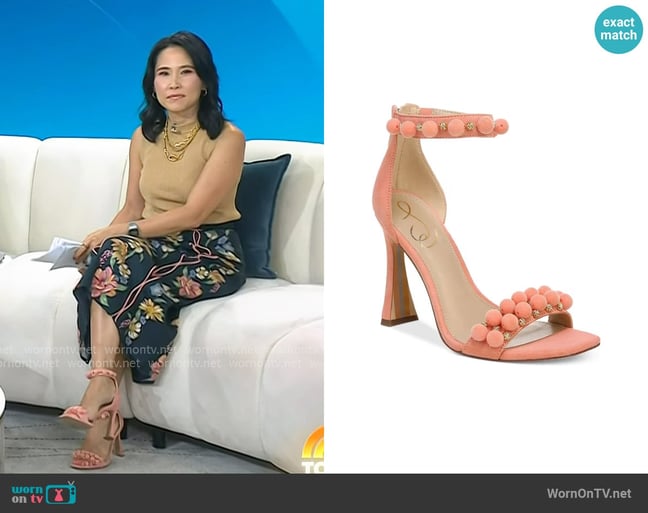 Sam Edelman Luella Ankle Strap Sandals in Canyon Clay worn by Vicky Nguyen on Today Sam Edelman Luella Ankle Strap Sandals in Canyon Clay worn by Vicky Nguyen on Today