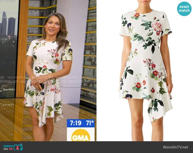 Ginger's Stylestalker dress