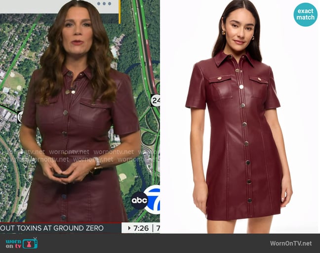 Heather's Toccin dress
