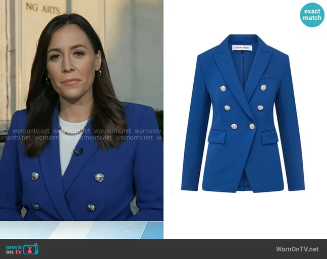 Hallie's Veronica Beard jacket Hallie's Veronica Beard jacket